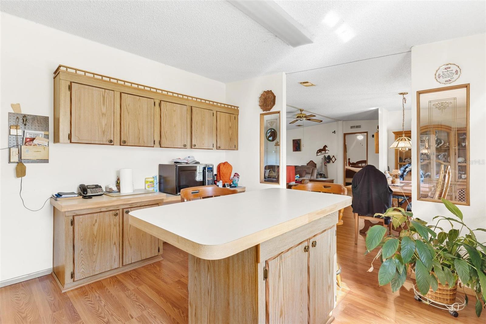 29175 SE HIGHWAY 42, UMATILLA, FL, 32784