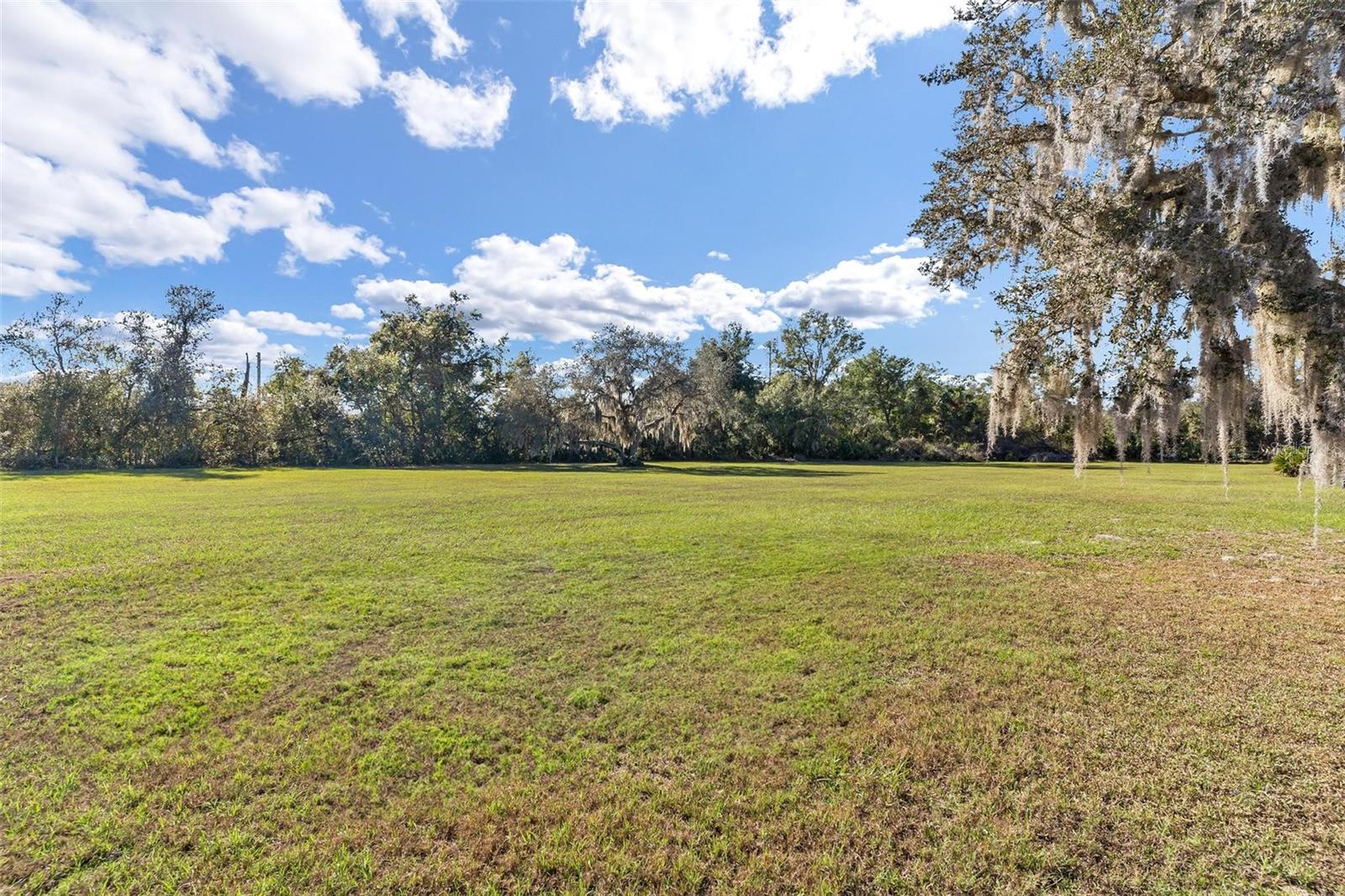 29175 SE HIGHWAY 42, UMATILLA, FL, 32784