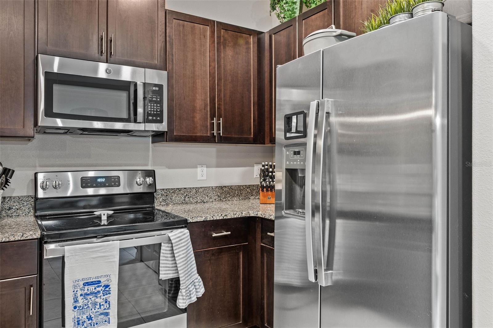 9636 PEMBROOKE PINES DR, SUN CITY CENTER, FL, 33573