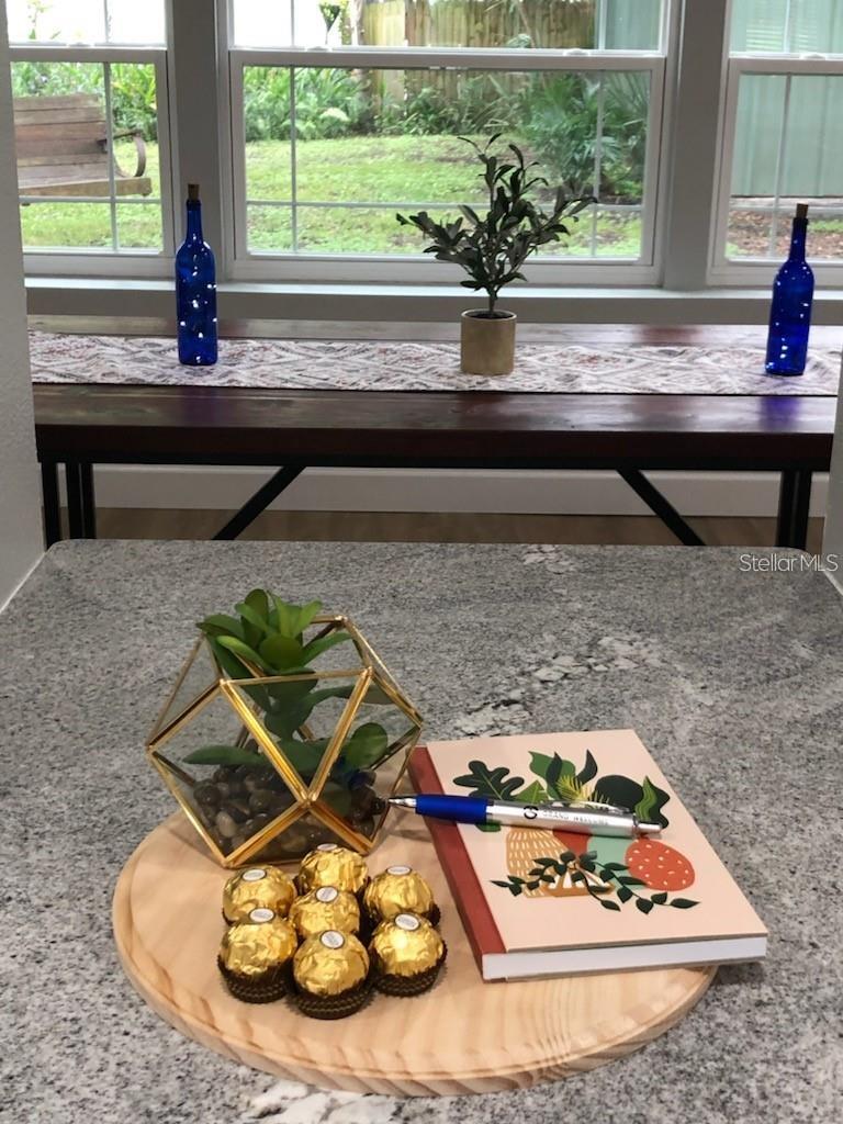 4201 S RENELLIE DR, TAMPA, FL, 33611