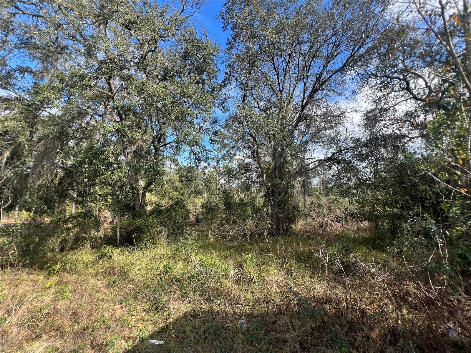 20120 SW 191 AVE, ARCHER, FL, 32618