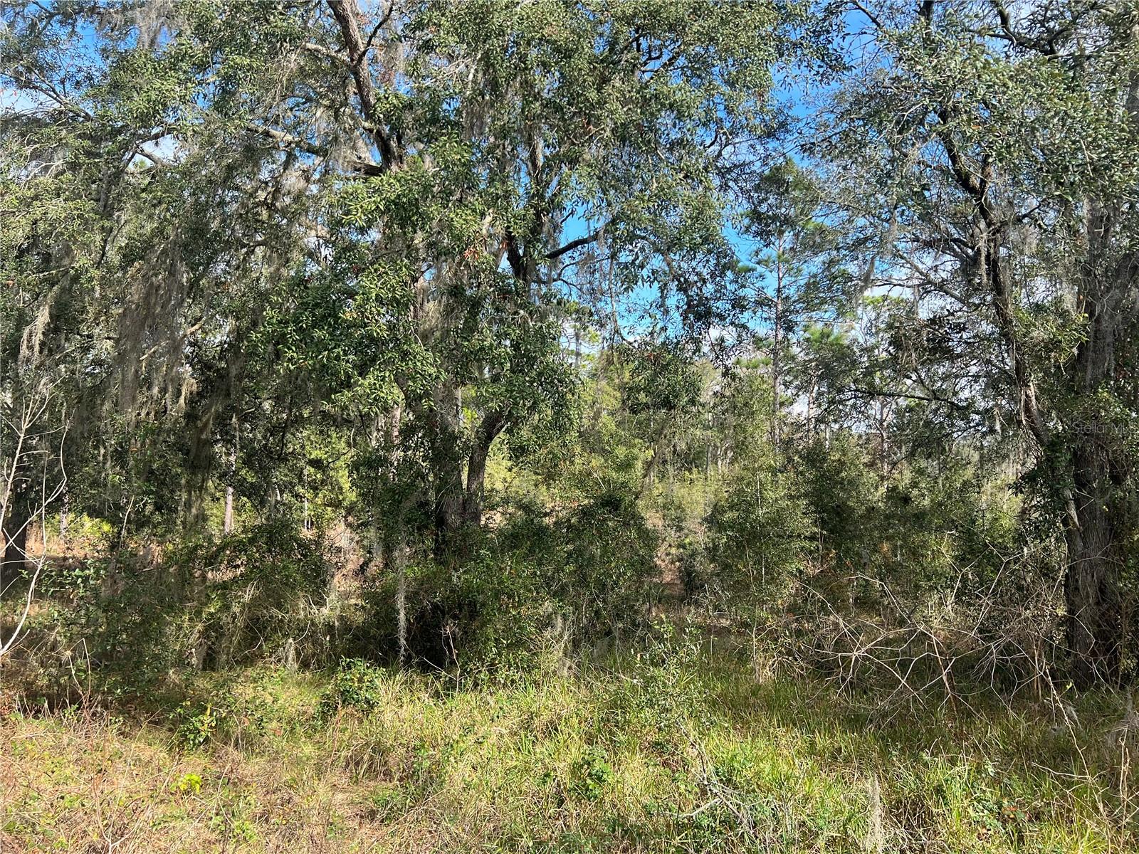 20120 SW 191 AVE, ARCHER, FL, 32618