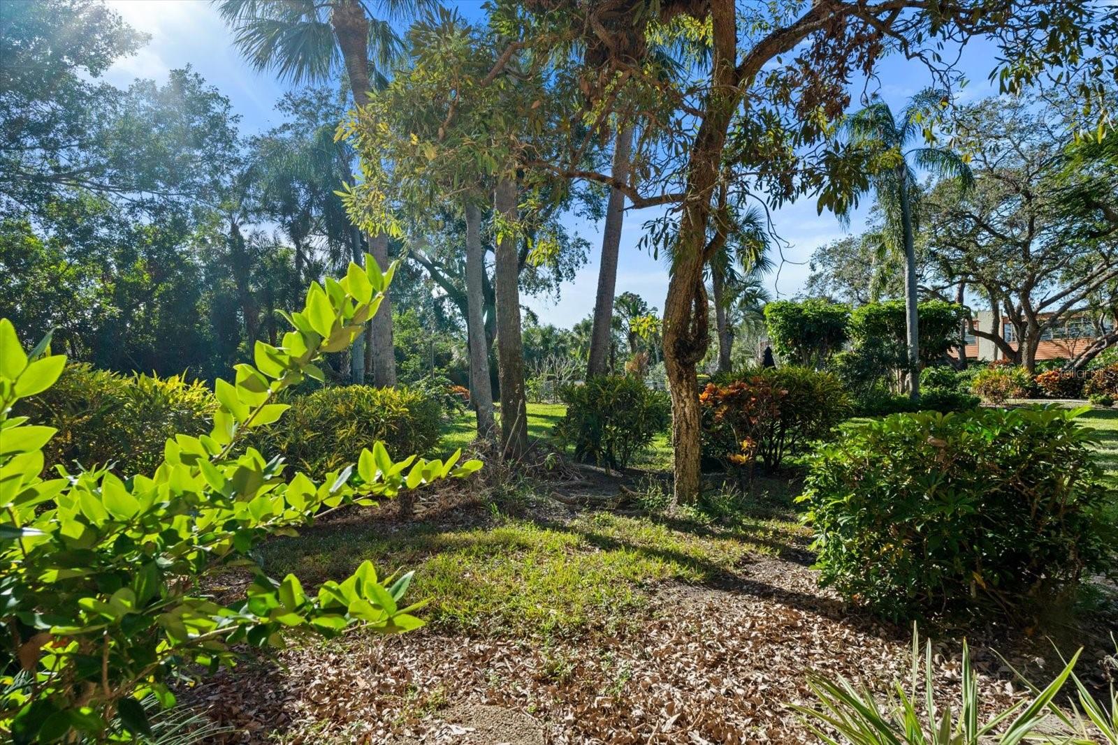 151 WILD PALM DR #151, BRADENTON, FL, 34210