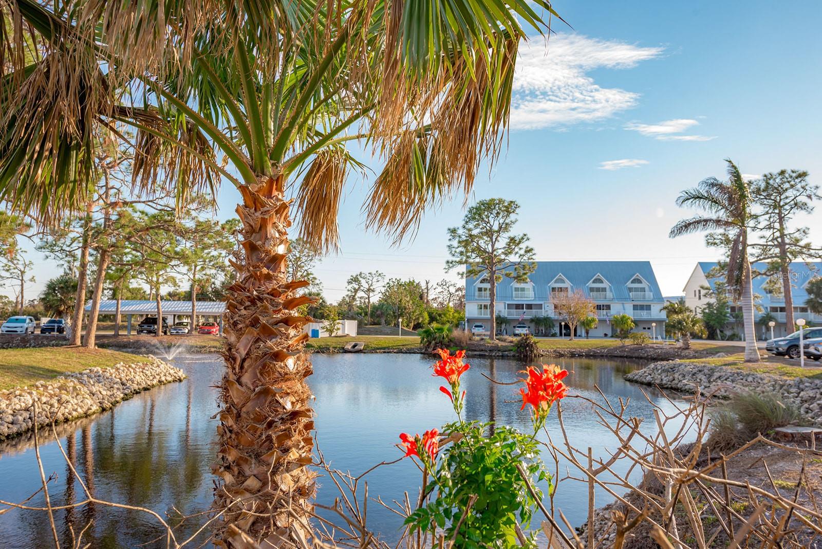 D6139916 Property Photo