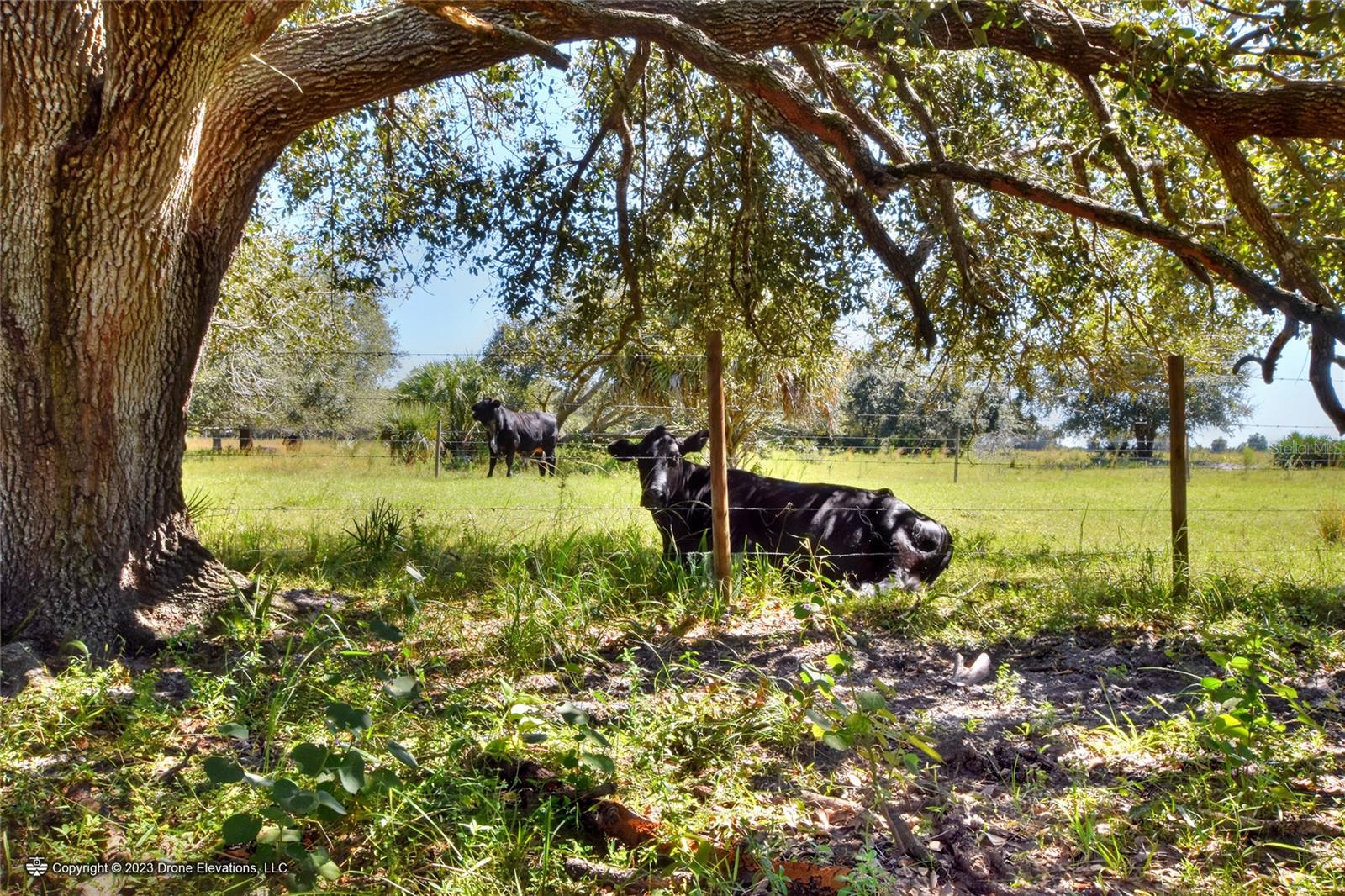 46891 FARABEE RD, PUNTA GORDA, FL, 33982