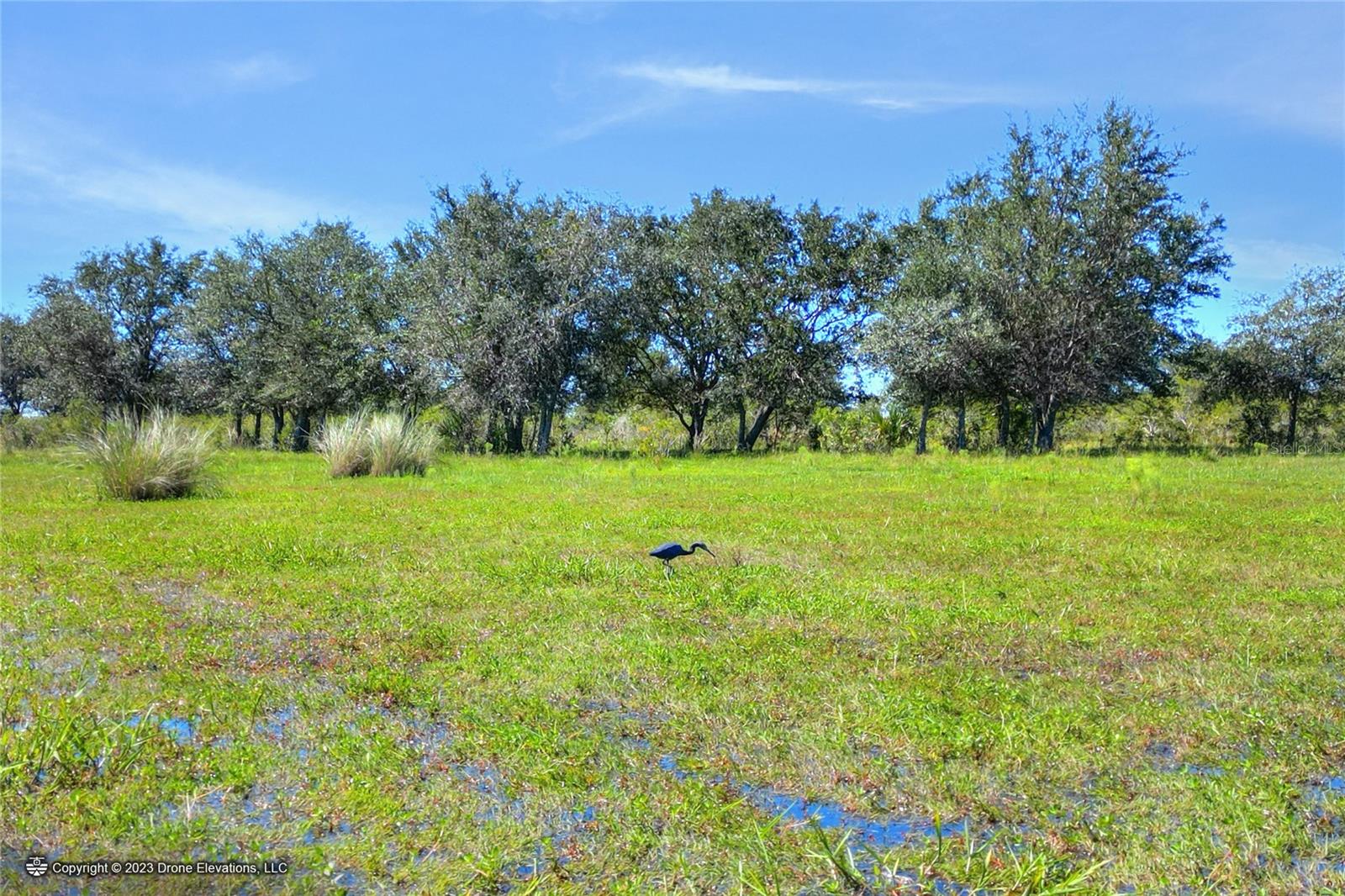 46891 FARABEE RD, PUNTA GORDA, FL, 33982