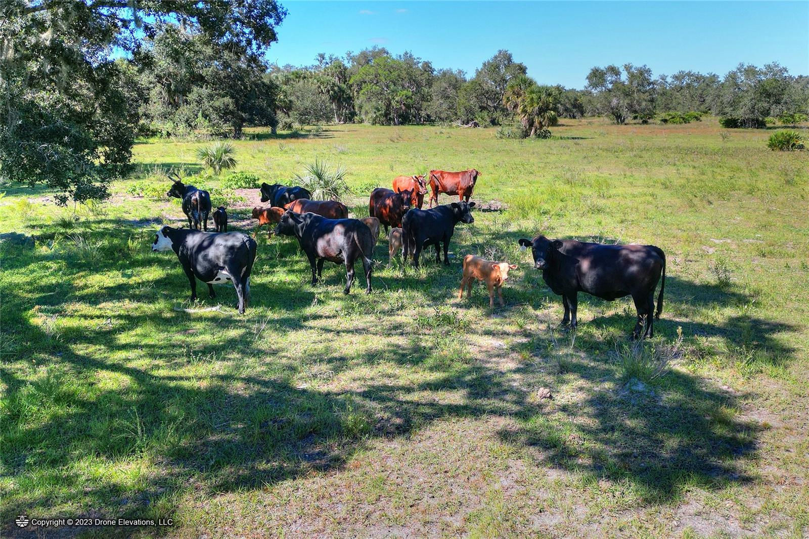 46891 FARABEE RD, PUNTA GORDA, FL, 33982