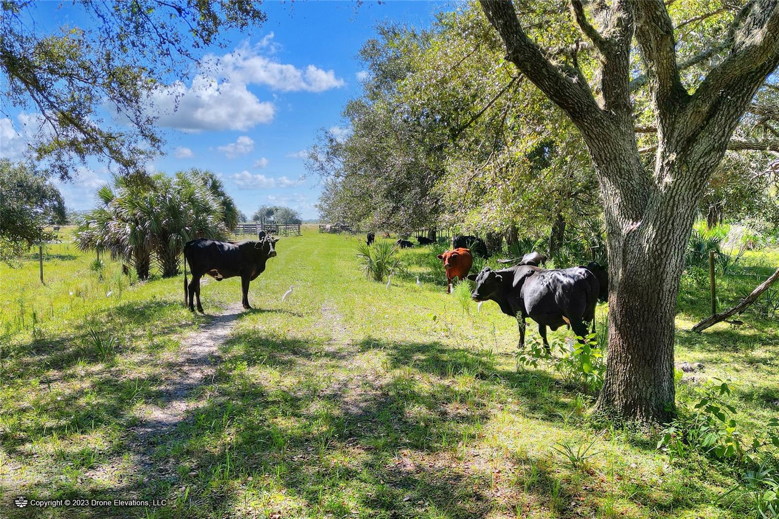 46891 FARABEE RD, PUNTA GORDA, FL, 33982