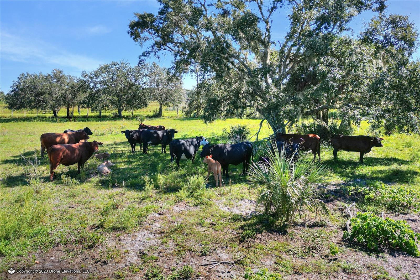 46891 FARABEE RD, PUNTA GORDA, FL, 33982