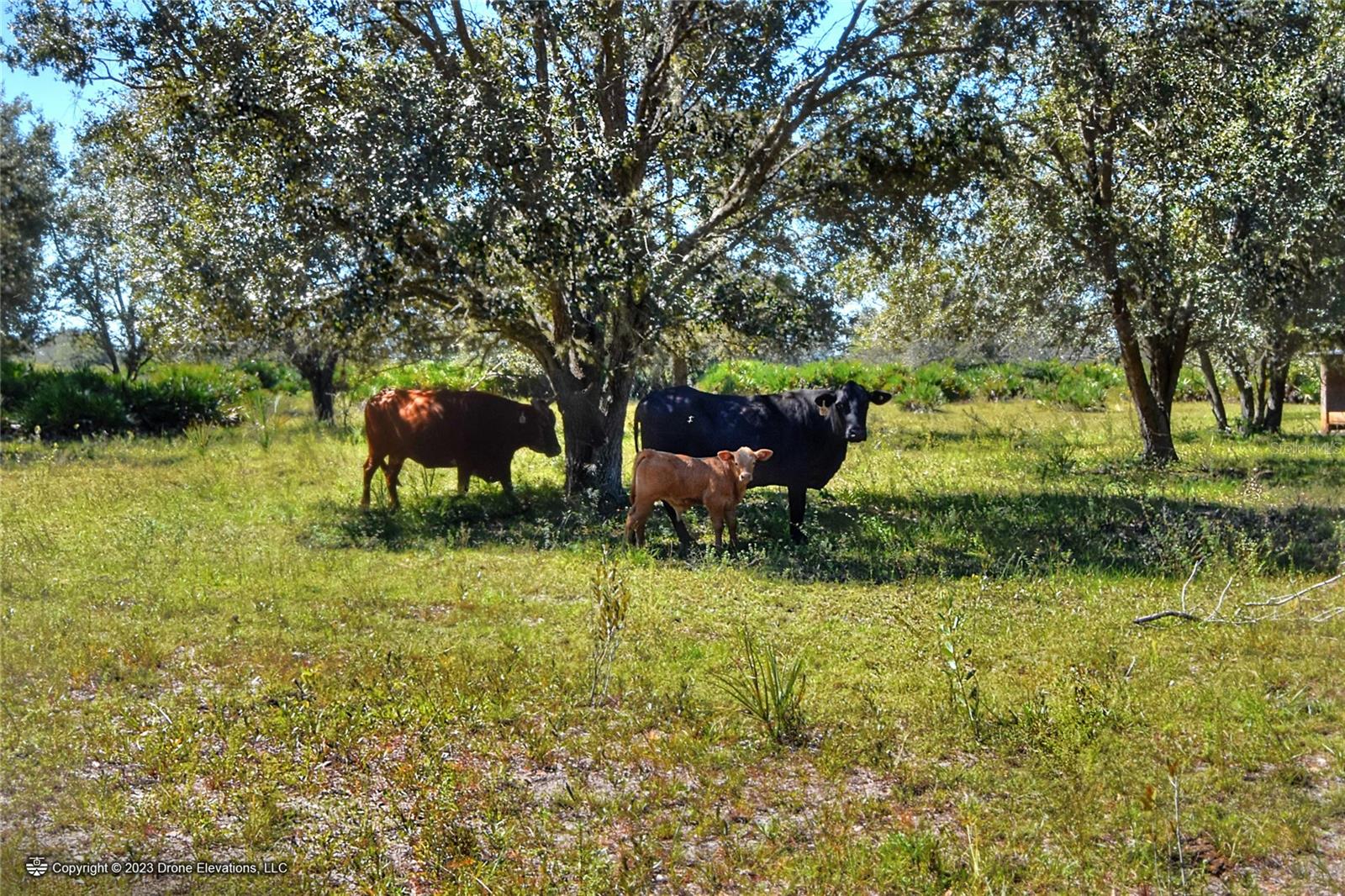 46891 FARABEE RD, PUNTA GORDA, FL, 33982