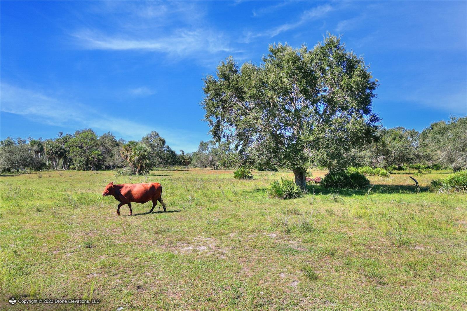 46891 FARABEE RD, PUNTA GORDA, FL, 33982