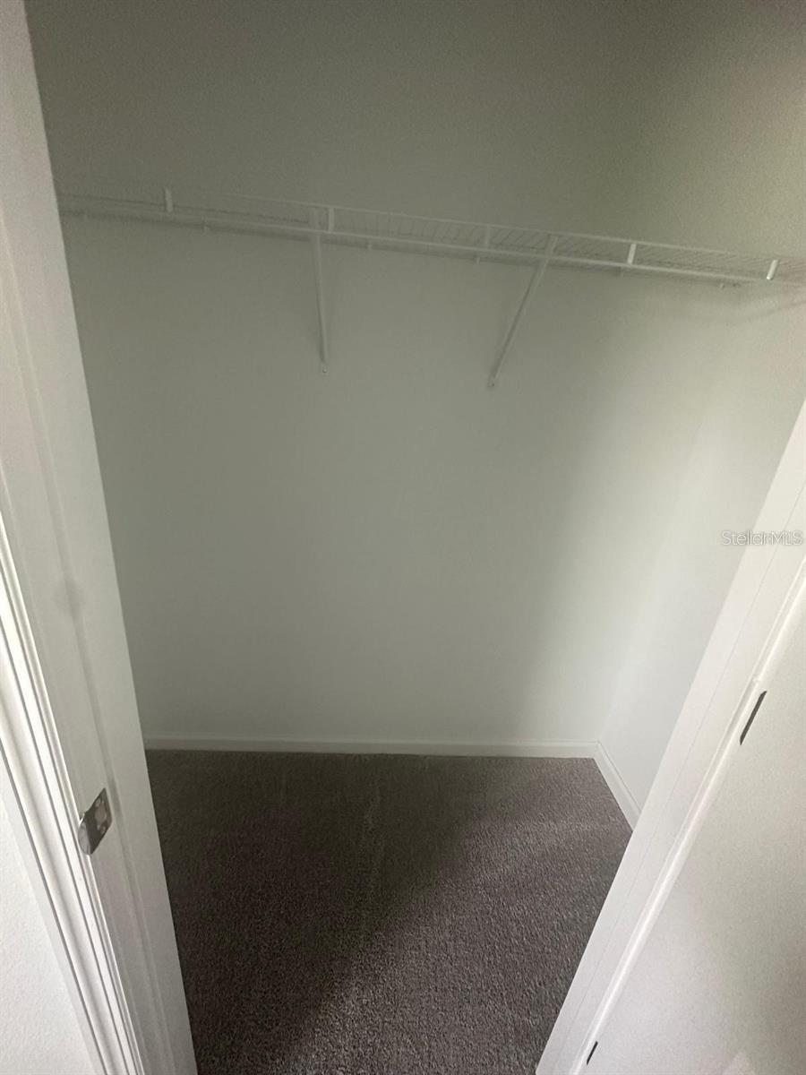 541 NW 5TH LN, WILLISTON, FL, 32696