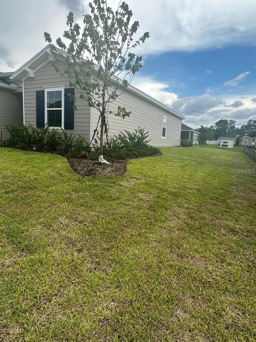 541 NW 5TH LN, WILLISTON, FL, 32696