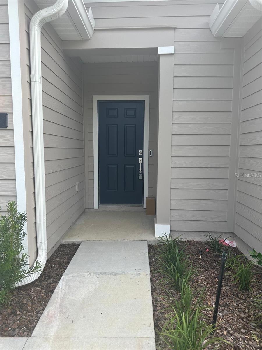 541 NW 5TH LN, WILLISTON, FL, 32696