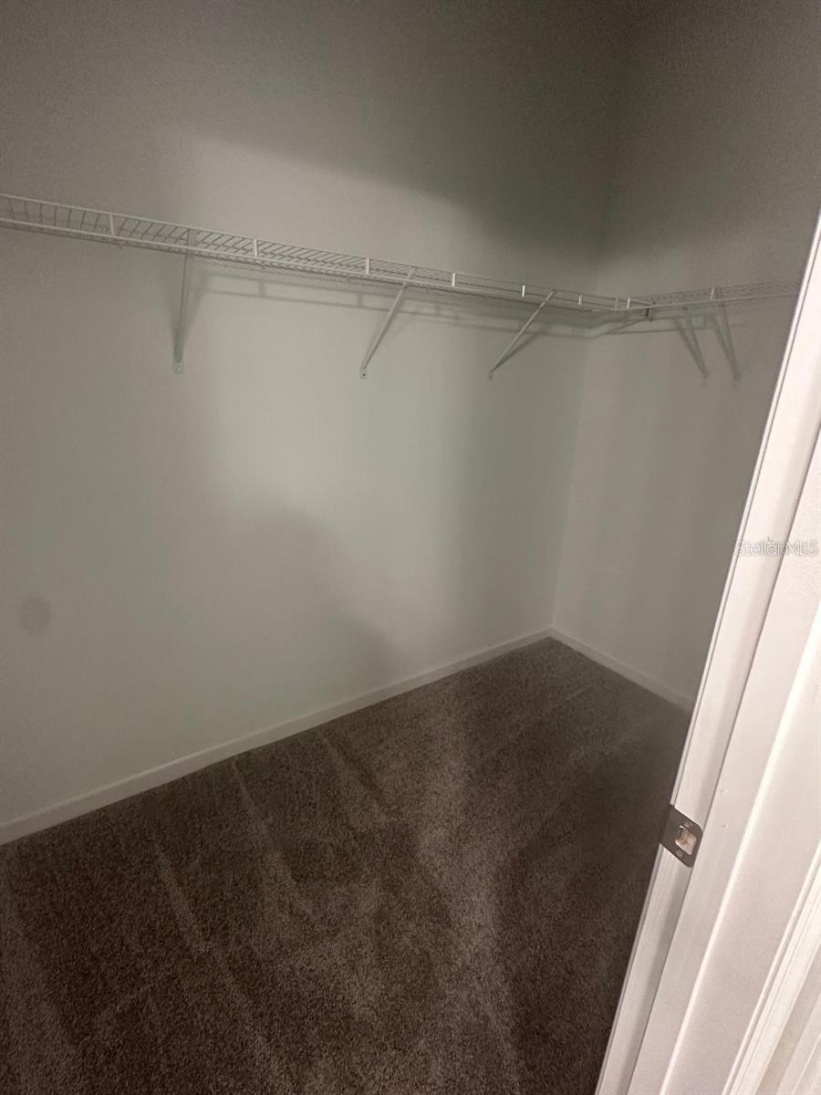 541 NW 5TH LN, WILLISTON, FL, 32696