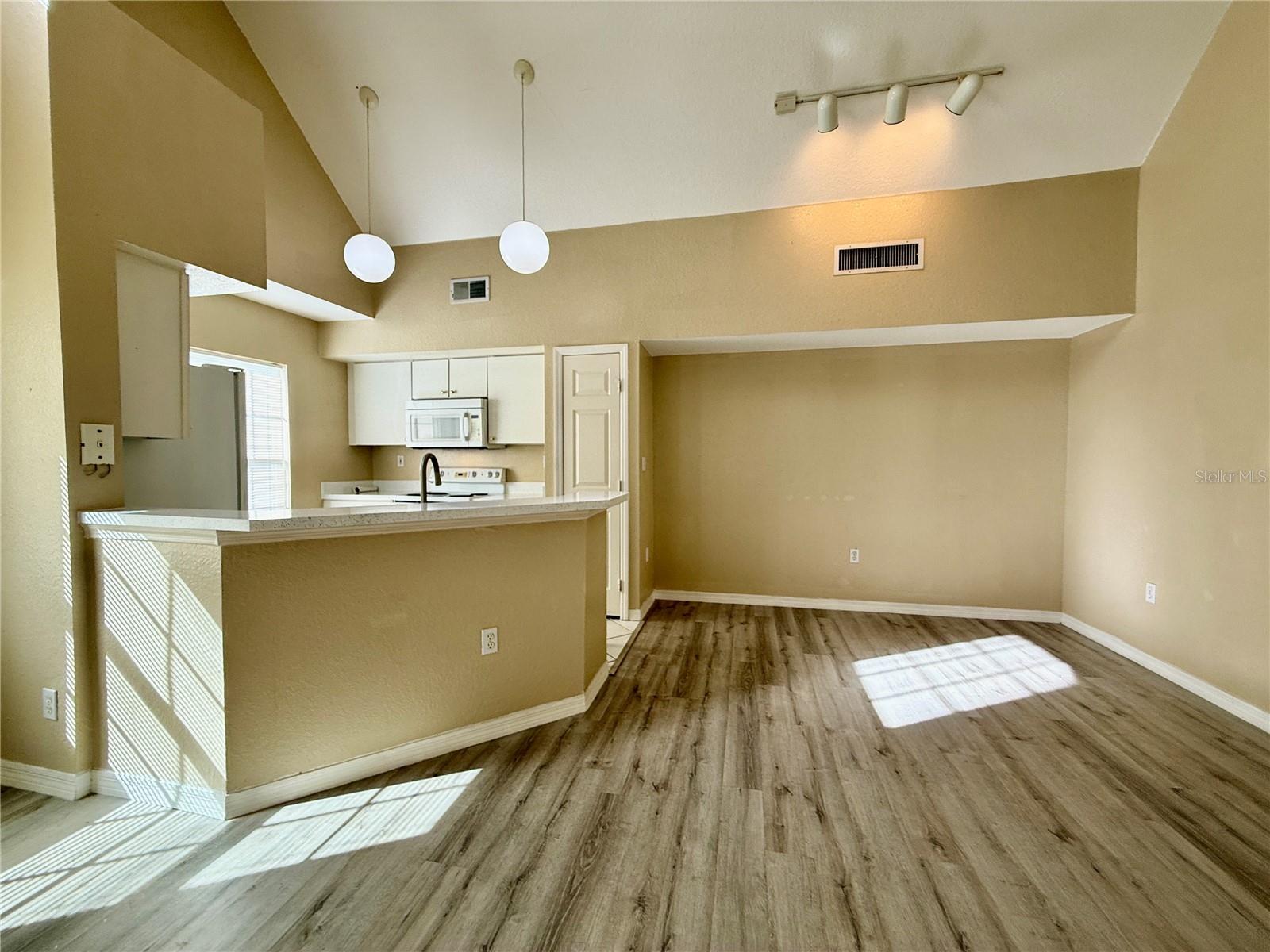 9580 LAKE CHASE ISLAND WAY #9580, TAMPA, FL, 33626