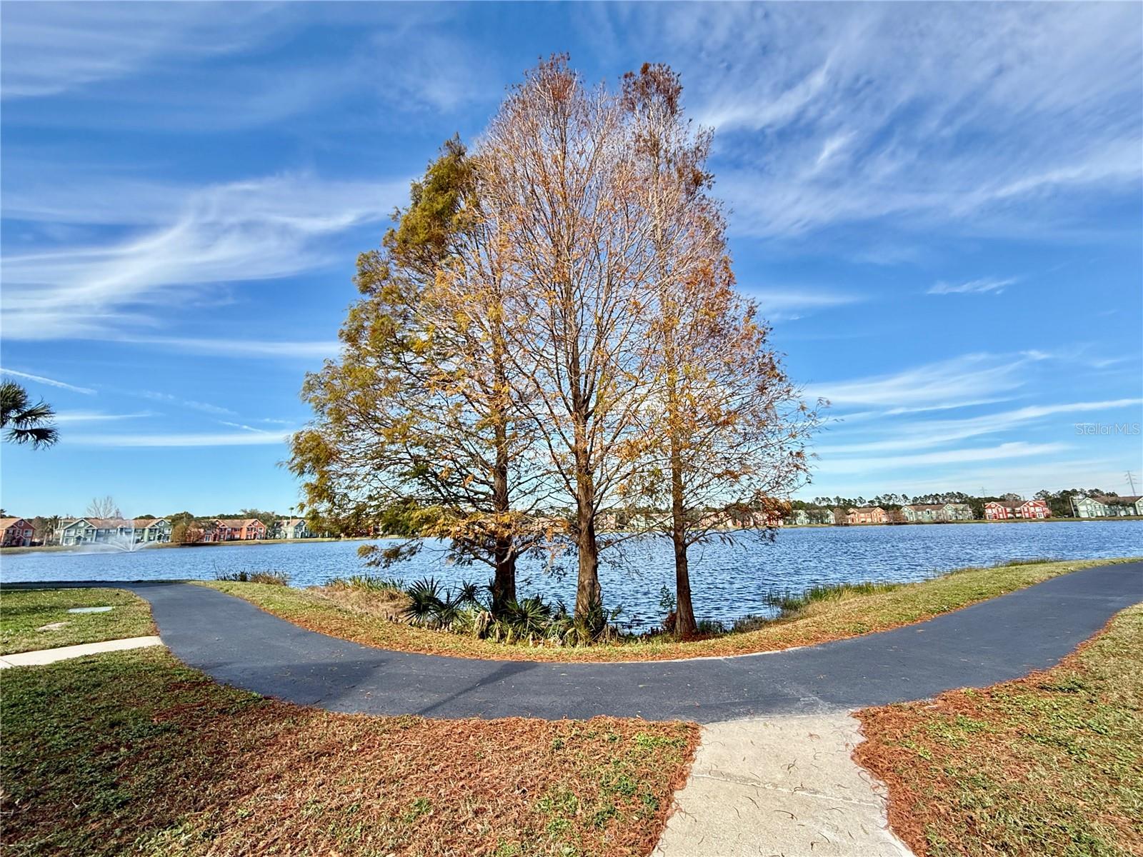 9580 LAKE CHASE ISLAND WAY #9580, TAMPA, FL, 33626