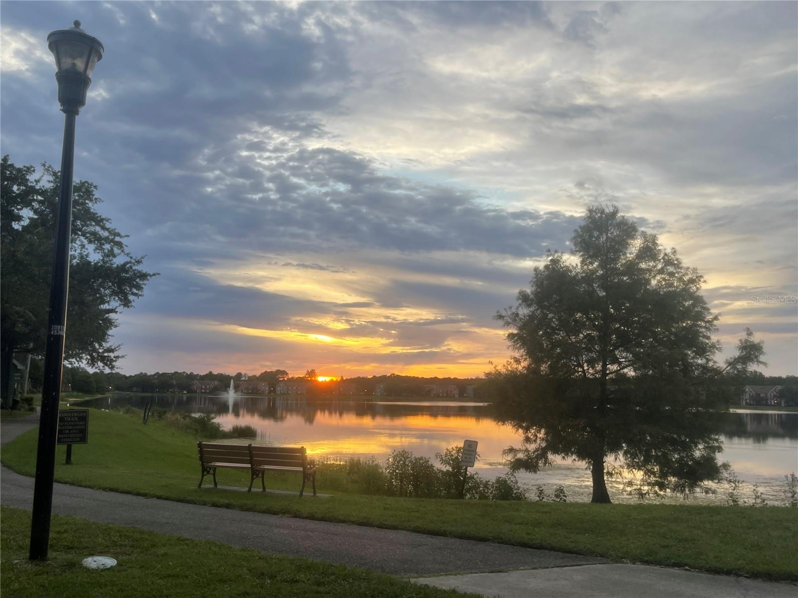 9580 LAKE CHASE ISLAND WAY #9580, TAMPA, FL, 33626