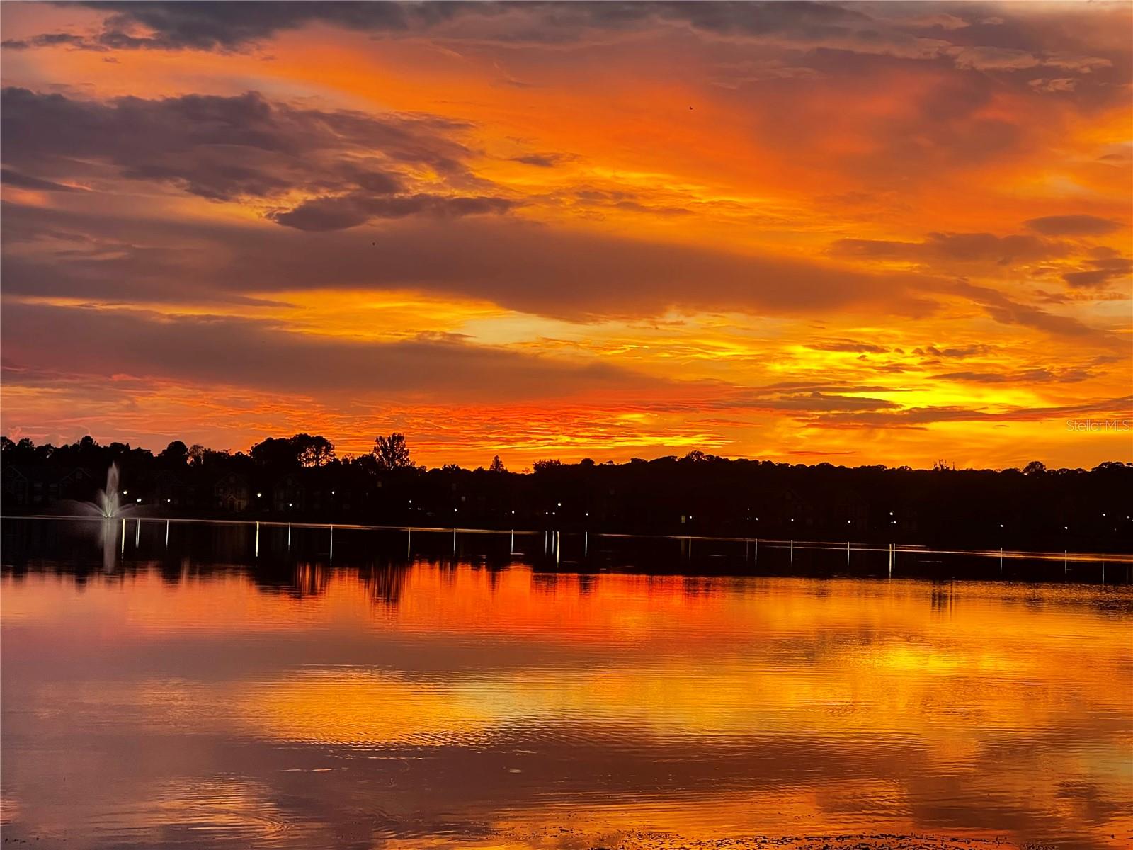 9580 LAKE CHASE ISLAND WAY #9580, TAMPA, FL, 33626