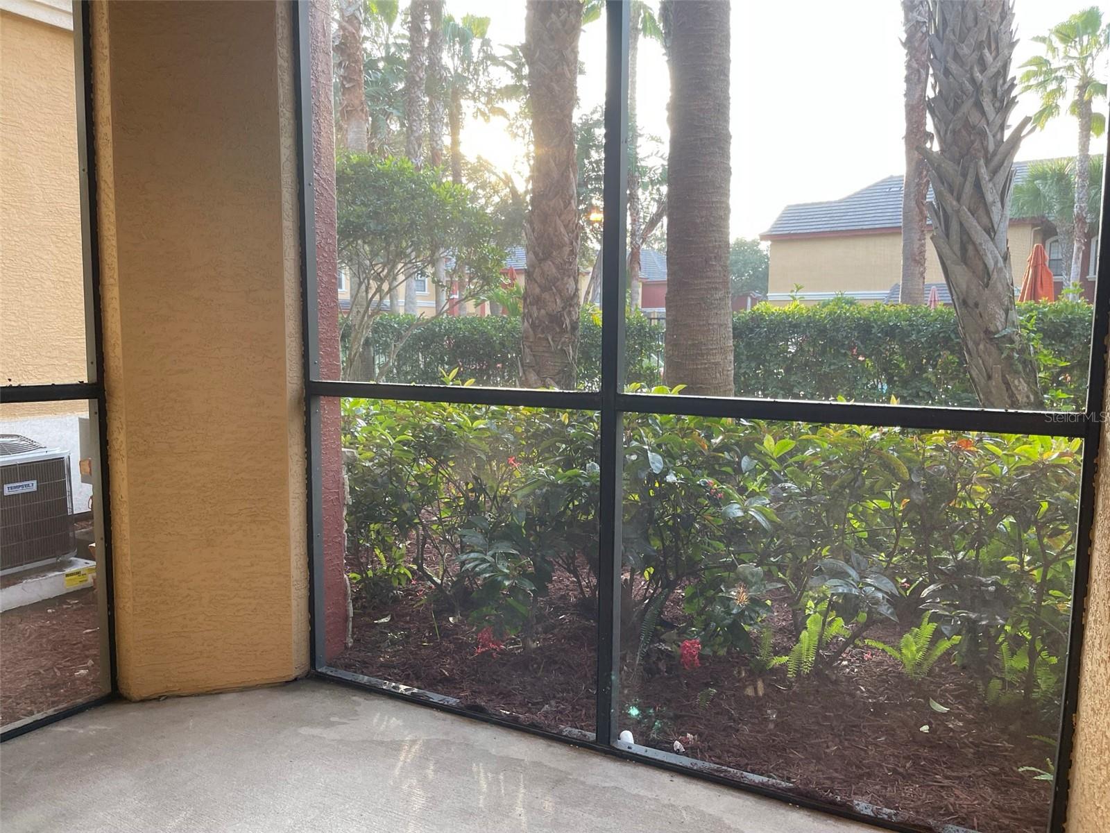 2249 PORTOFINO PL #2217, PALM HARBOR, FL, 34683