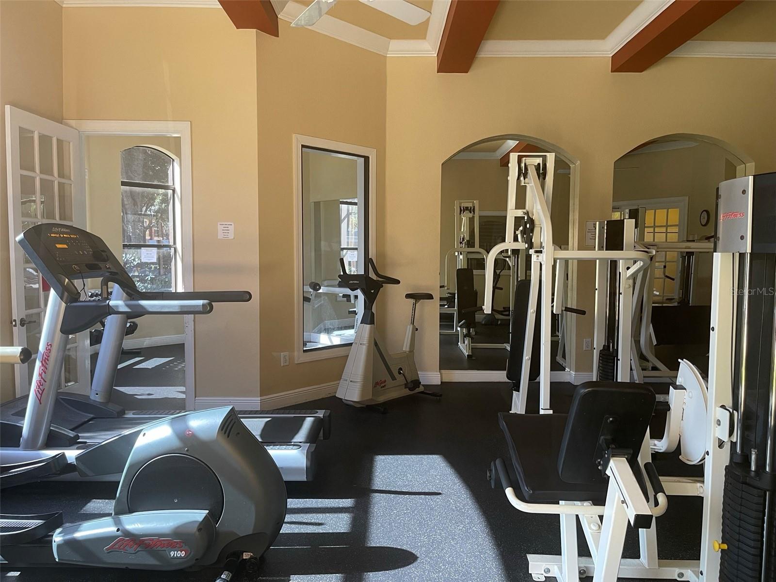 2249 PORTOFINO PL #2217, PALM HARBOR, FL, 34683