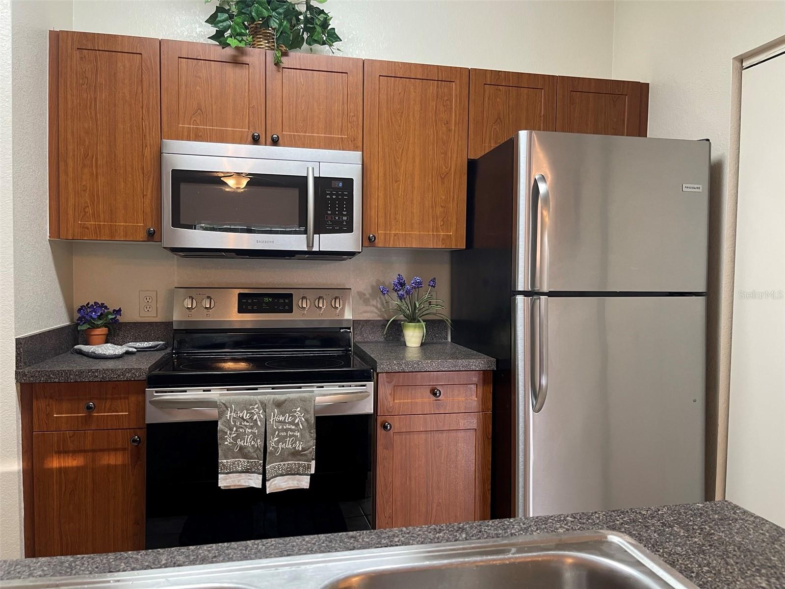 2249 PORTOFINO PL #2217, PALM HARBOR, FL, 34683