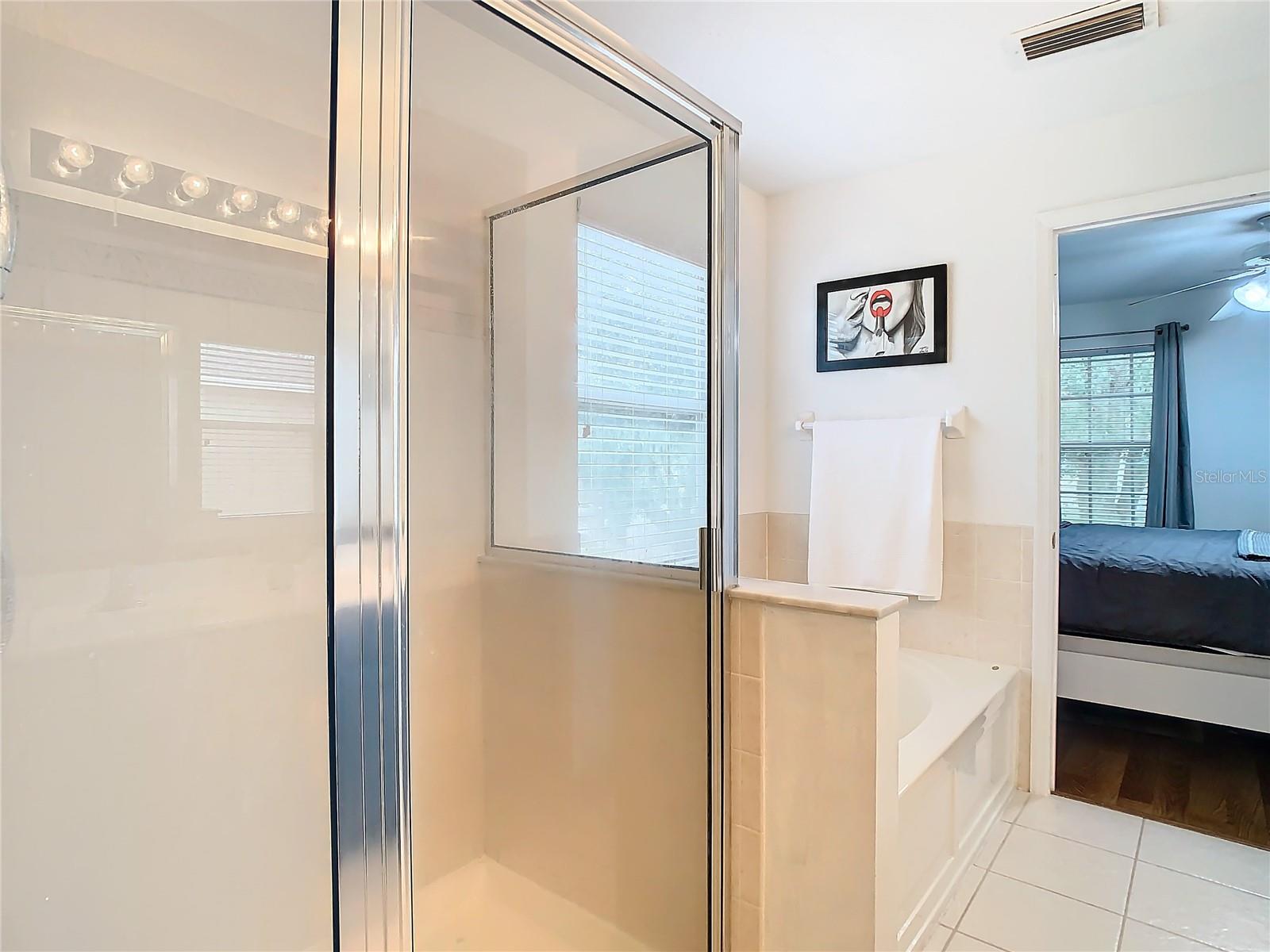 17523 STINCHAR DR #17523, LAND O LAKES, FL, 34638