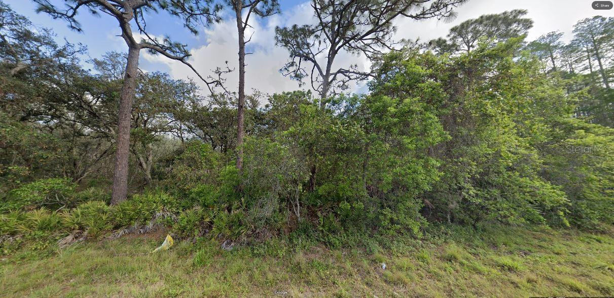 DEEN STILL RD, POLK CITY, FL, 33868