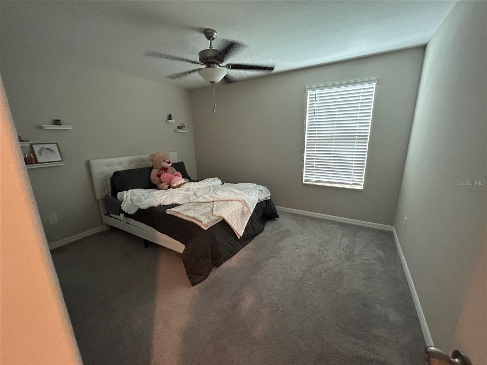 11423 SAGE CANYON DR, RIVERVIEW, FL, 33578