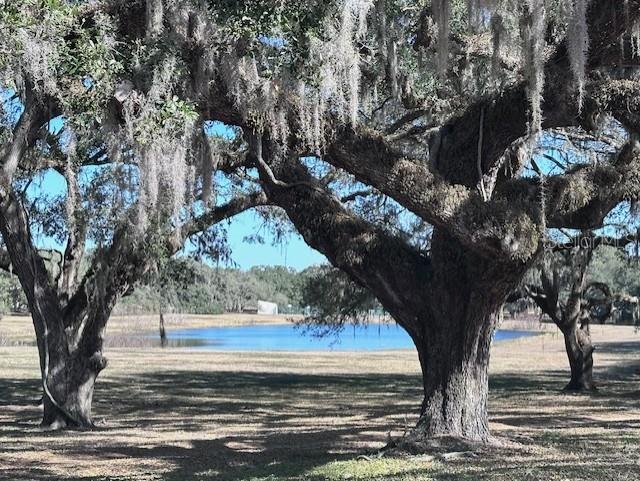 133 AVE, DUNNELLON, FL, 34432