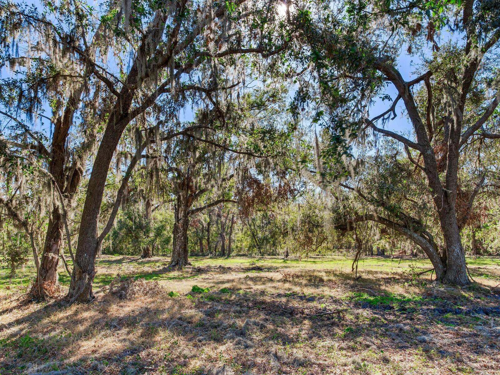 11312 COLDING RD, WIMAUMA, FL, 33598