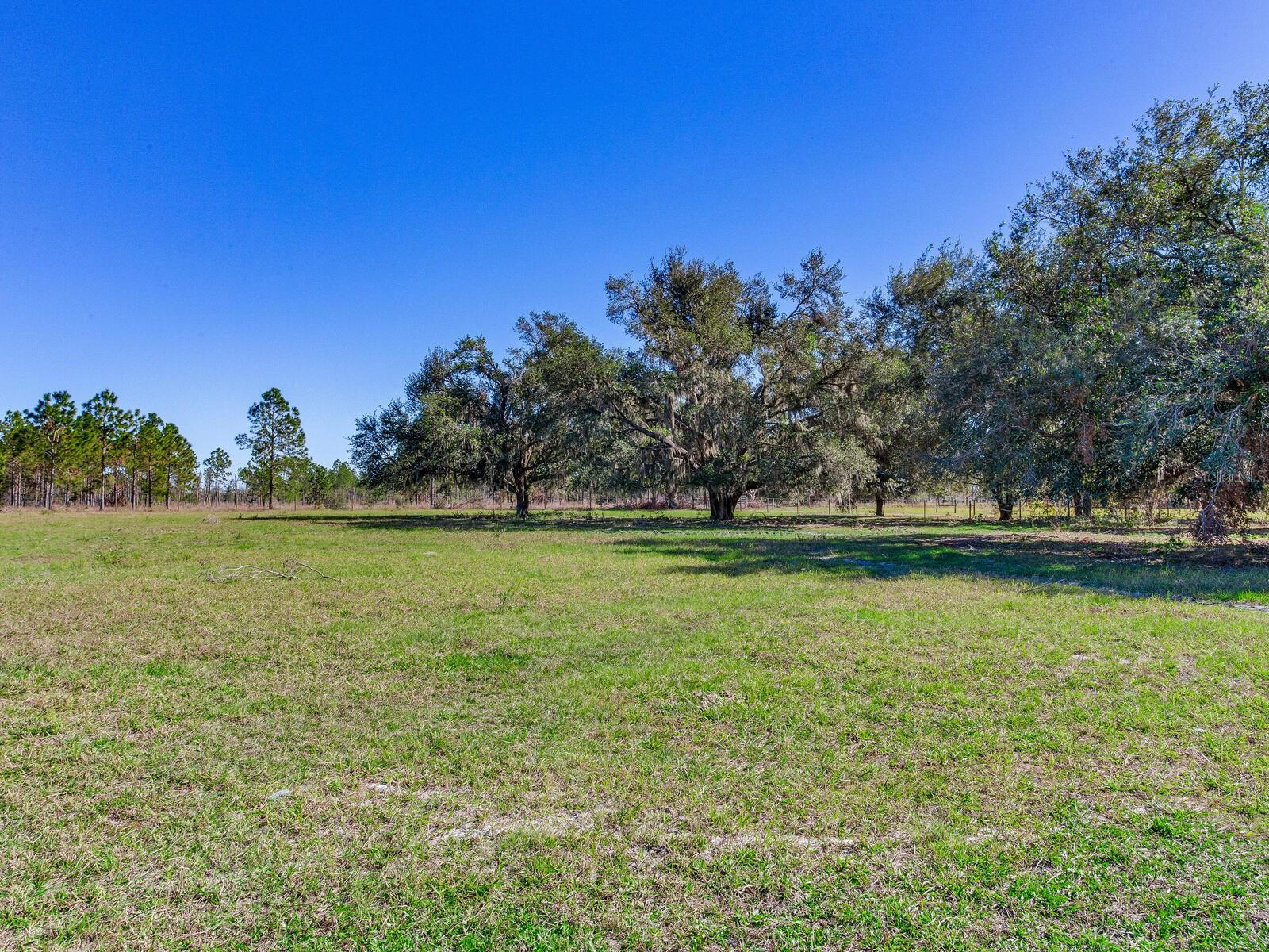 11312 COLDING RD, WIMAUMA, FL, 33598