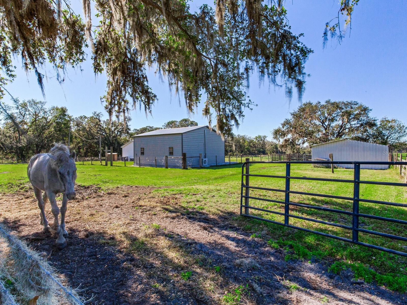 11312 COLDING RD, WIMAUMA, FL, 33598