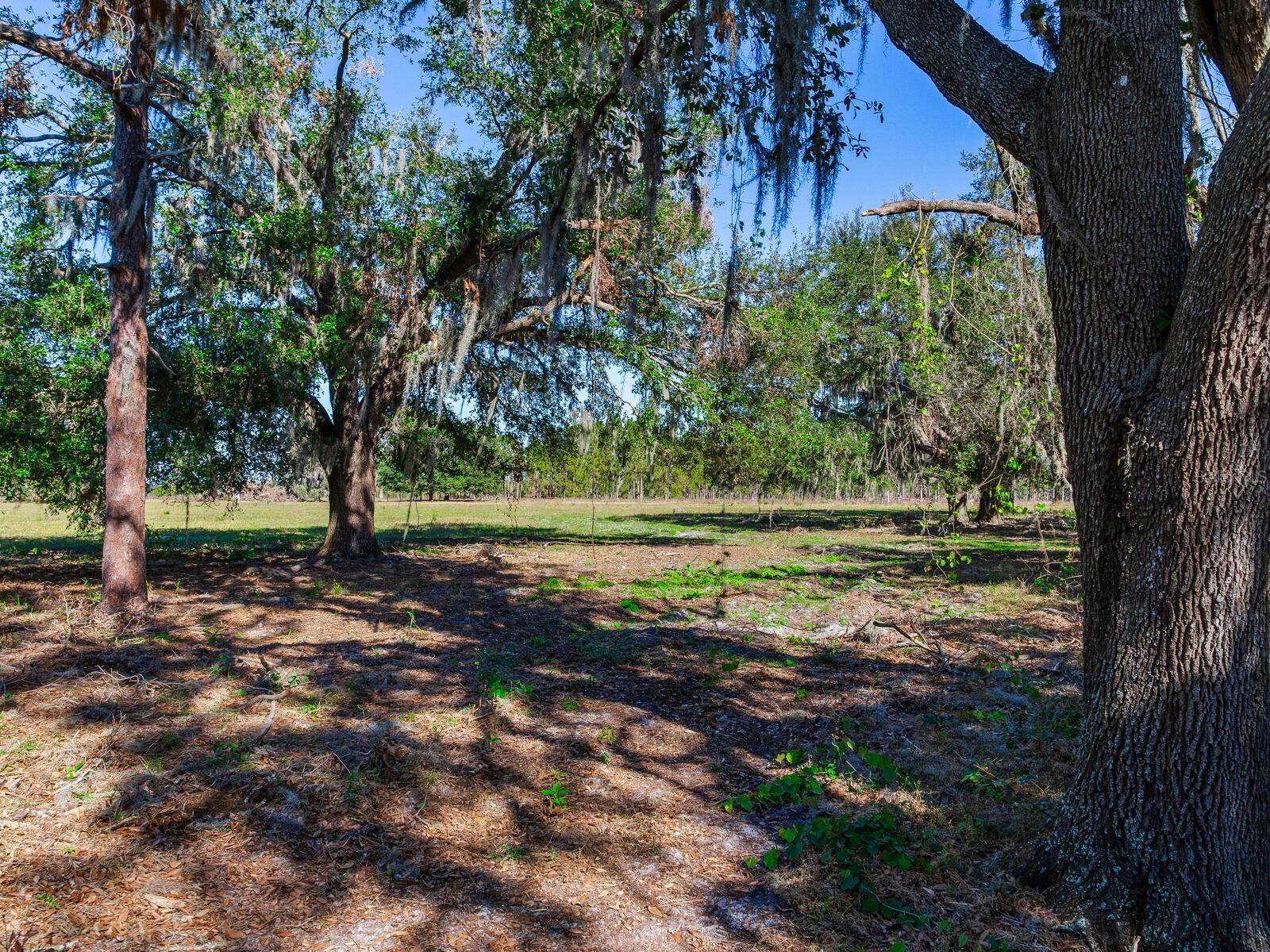 11312 COLDING RD, WIMAUMA, FL, 33598