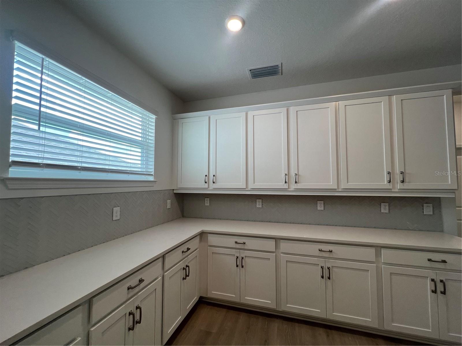 2137 SUNSHINE PEAK DR, MINNEOLA, FL, 34715