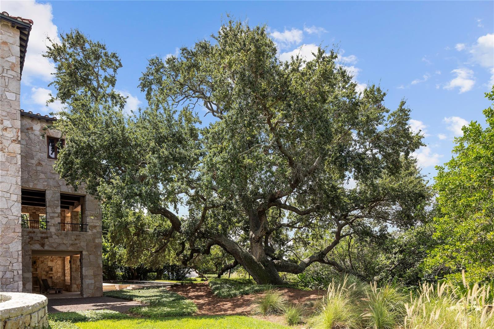 TB8336934 Property Photo