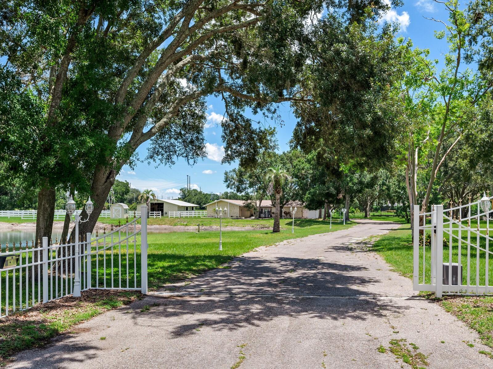 3050 MAPLE TRCE, TARPON SPRINGS, FL, 34688