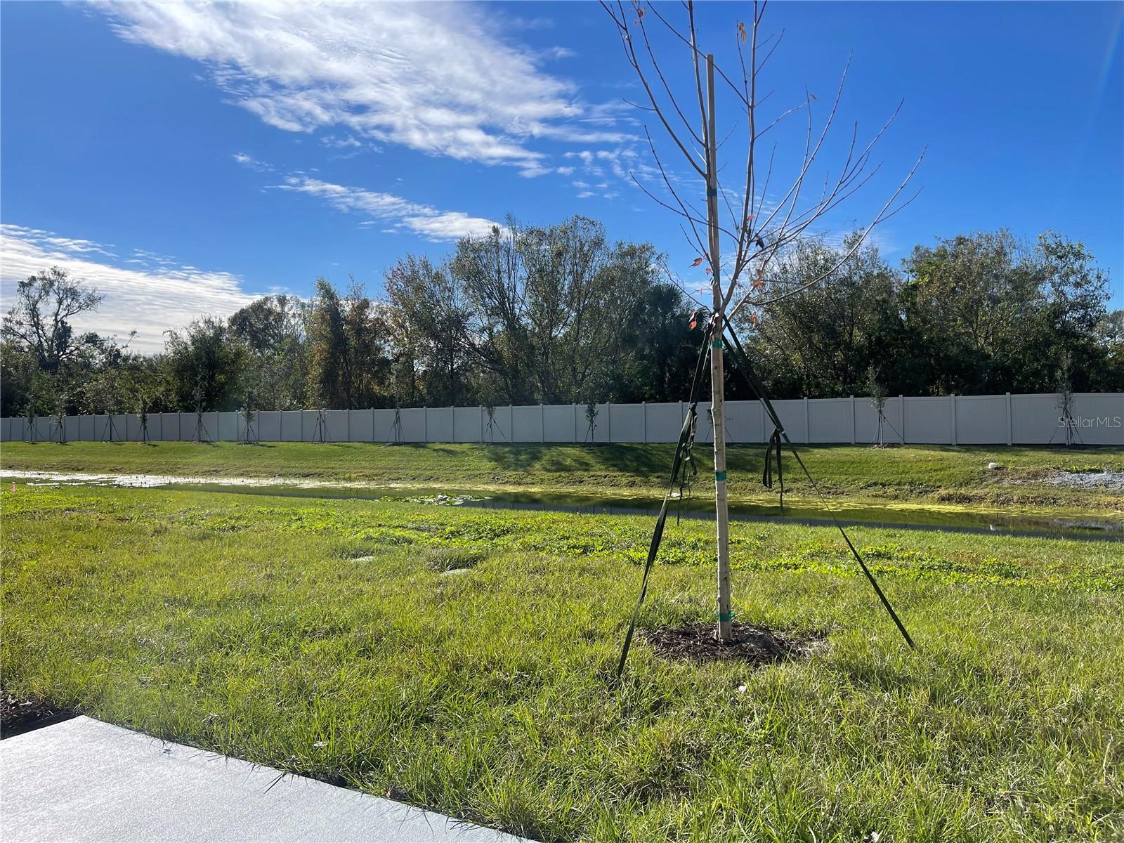 4476 RACHEL FALLS DR, TAMPA, FL, 33610