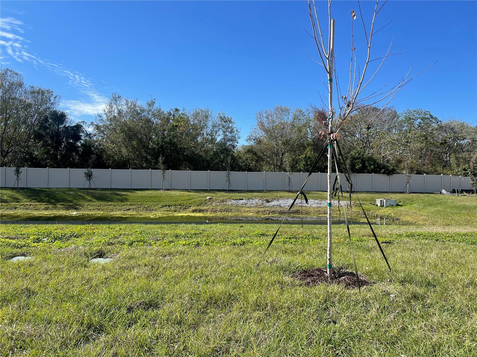 4476 RACHEL FALLS DR, TAMPA, FL, 33610