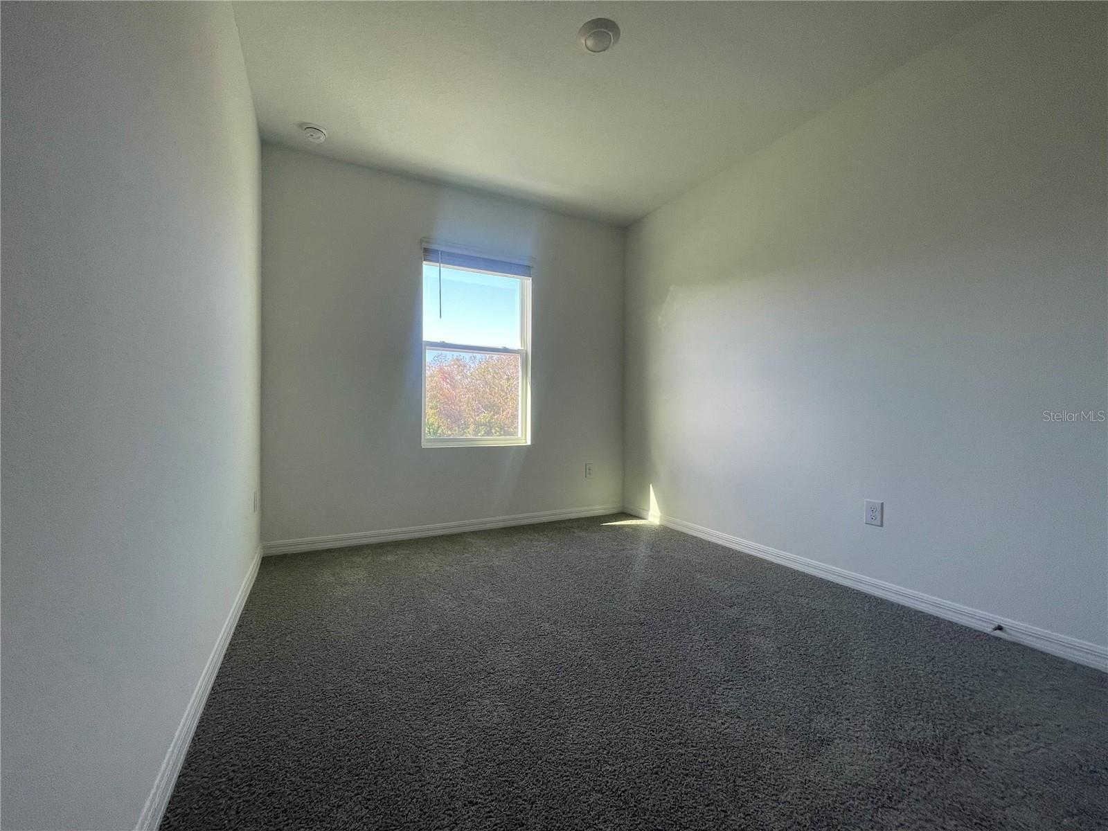 4476 RACHEL FALLS DR, TAMPA, FL, 33610