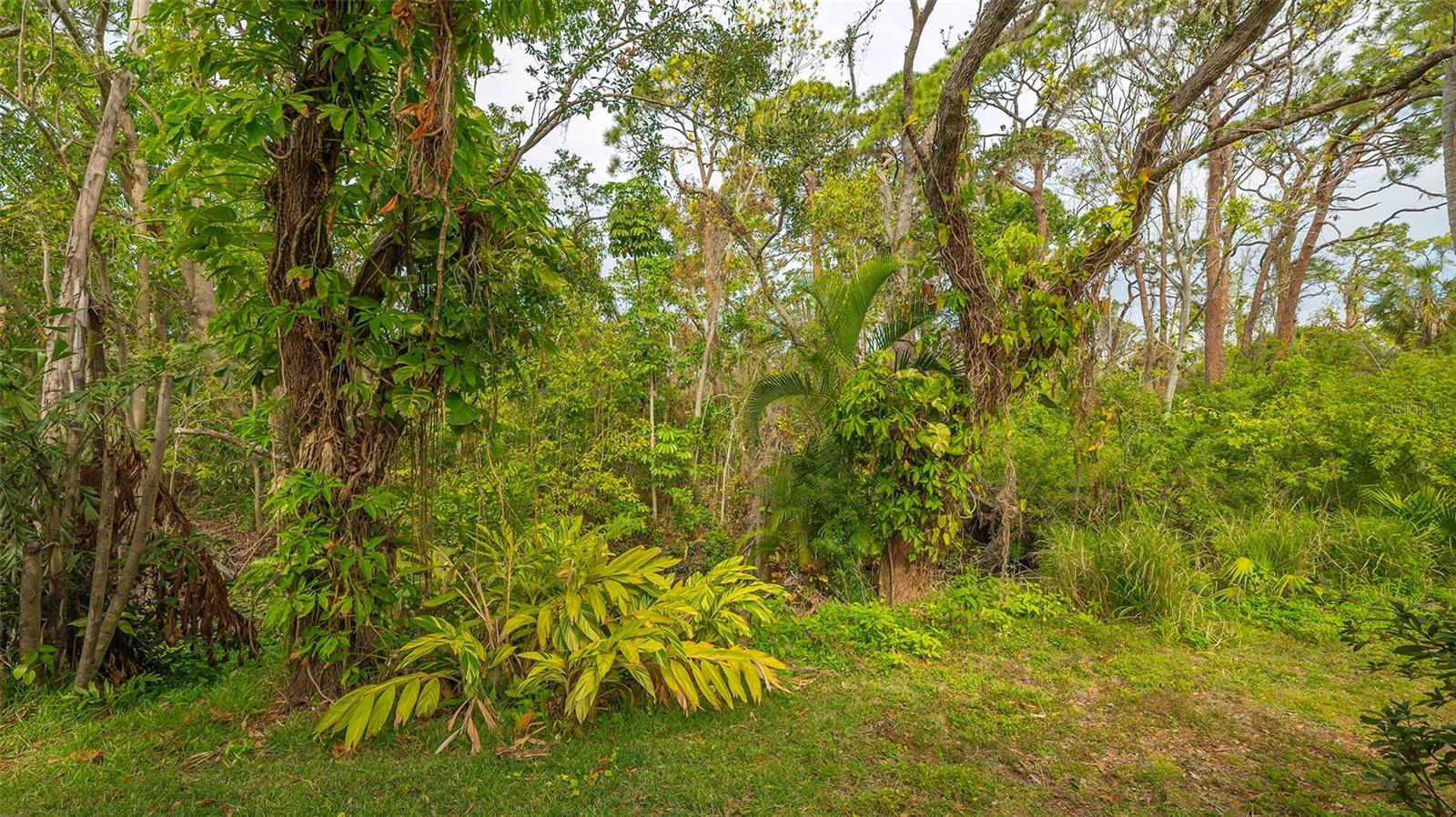 1621 CLOWER CREEK DR #TR173, SARASOTA, FL, 34231