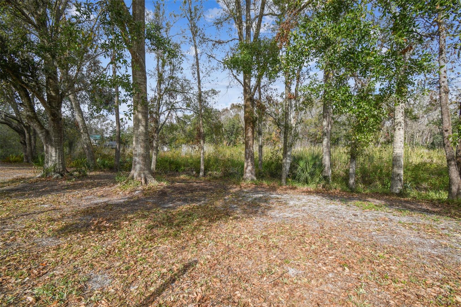 25555 OAKS BLVD, LAND O LAKES, FL, 34639