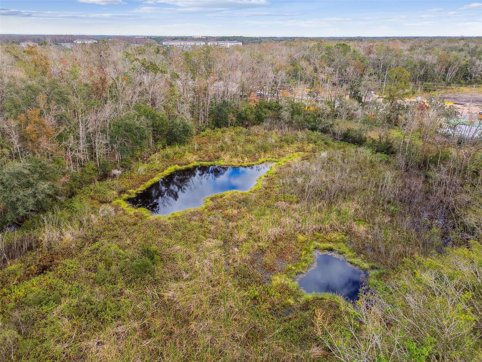 25555 OAKS BLVD, LAND O LAKES, FL, 34639