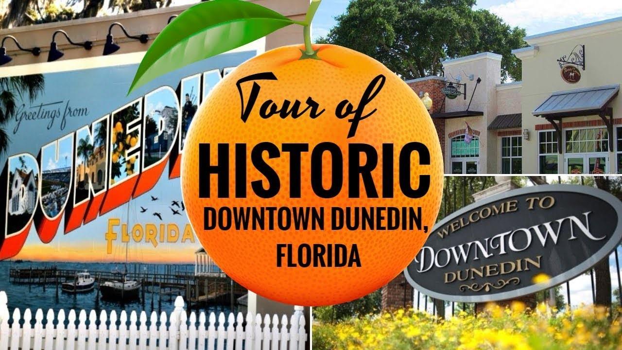 1312 OHIO AVE, PALM HARBOR, FL, 34683