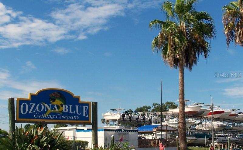 1312 OHIO AVE, PALM HARBOR, FL, 34683