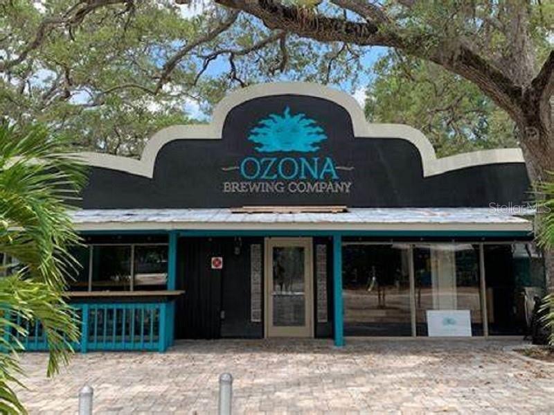 1312 OHIO AVE, PALM HARBOR, FL, 34683