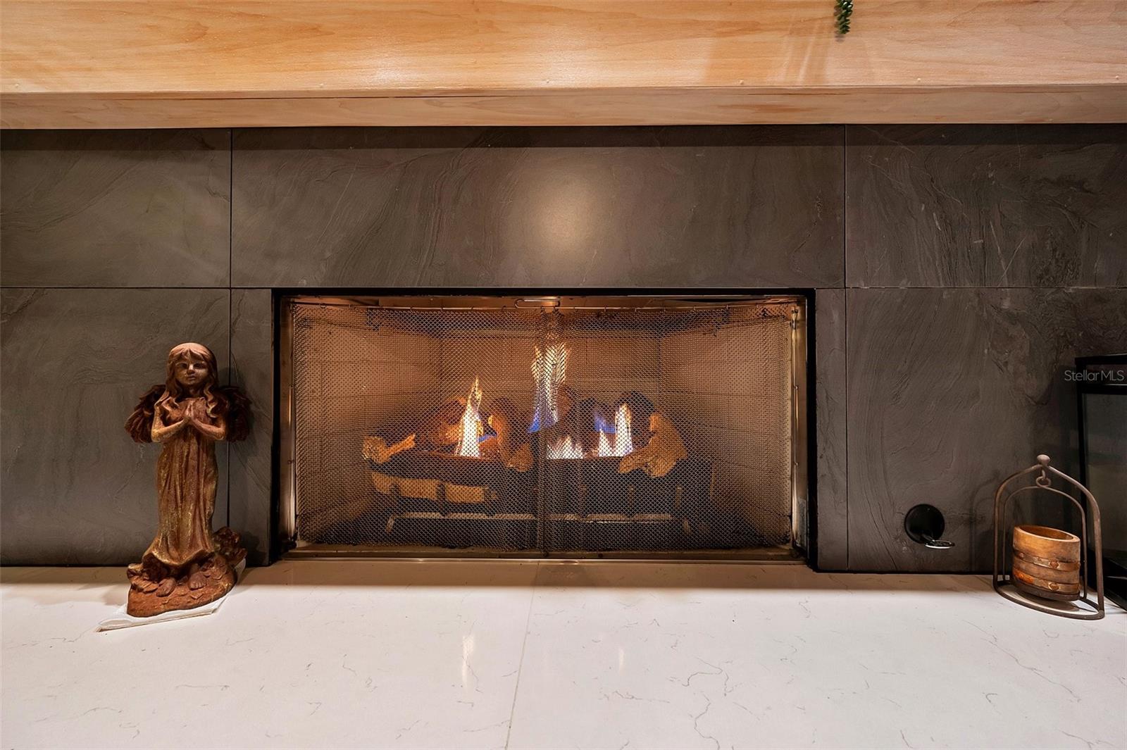 28559 MARSCIANO LN, WESLEY CHAPEL, FL, 33543