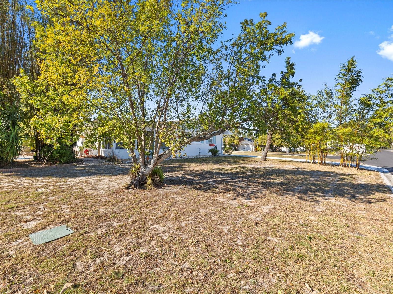 240 TIMBERLANE DR, PALM HARBOR, FL, 34683