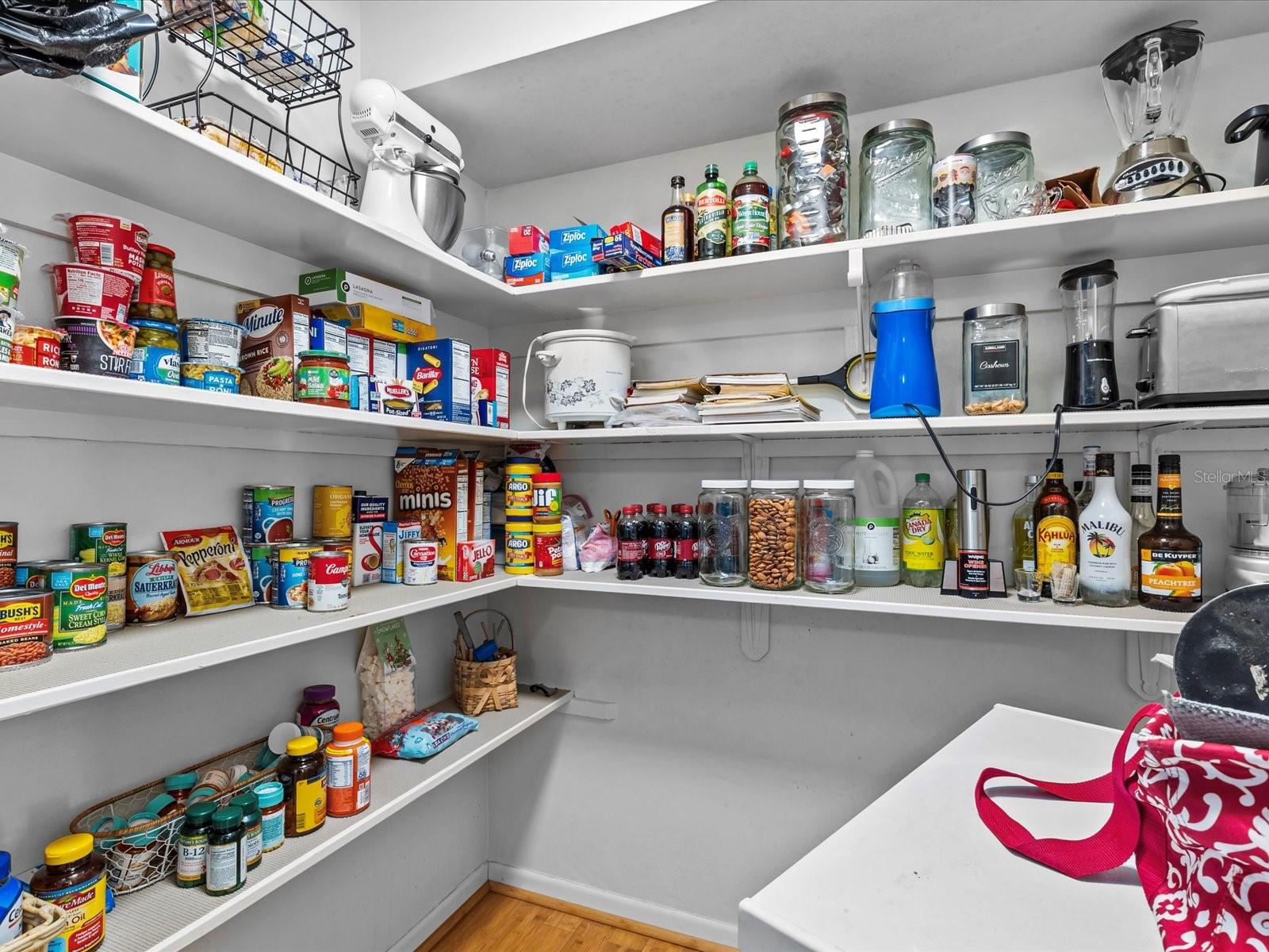 240 TIMBERLANE DR, PALM HARBOR, FL, 34683