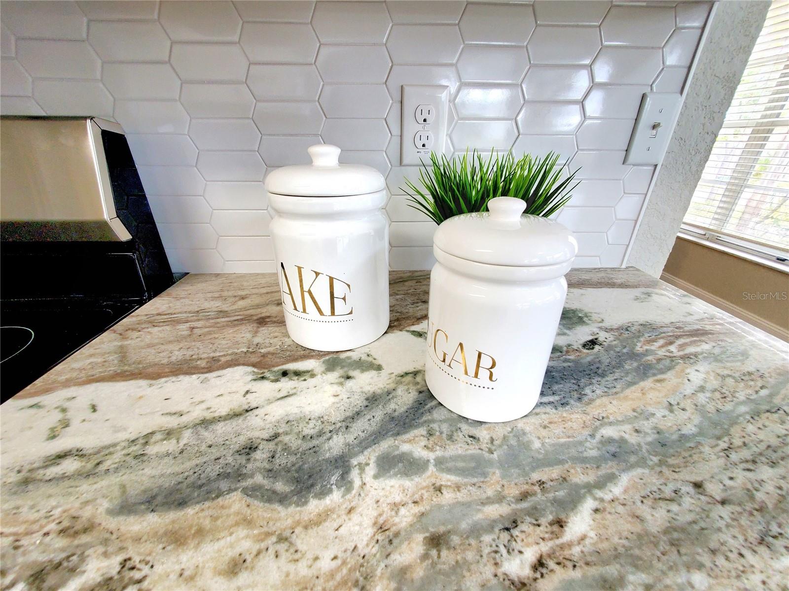 3464 SUTHERLAND DR, PALM HARBOR, FL, 34684